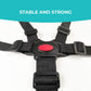 5 Point Harness Seat Belt