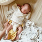 Esembly Cloth Diaper Inner - Organic Cotton Fitted Diaper- Soft, Ultra-Absorbant, Trim-Fitting Layer to Pair with Waterproof Out
