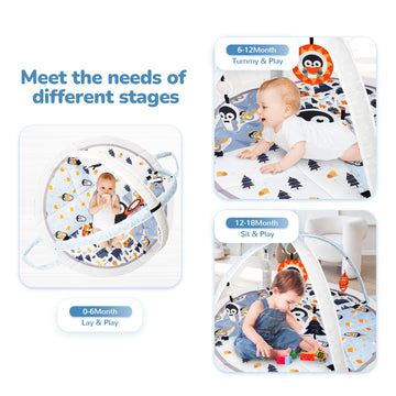 Baby Play Mat Tummy Time Mat With Exclusive Foldable Design, Stage-Based Skill Development Activity Gym Mat, Machine Washable Pl