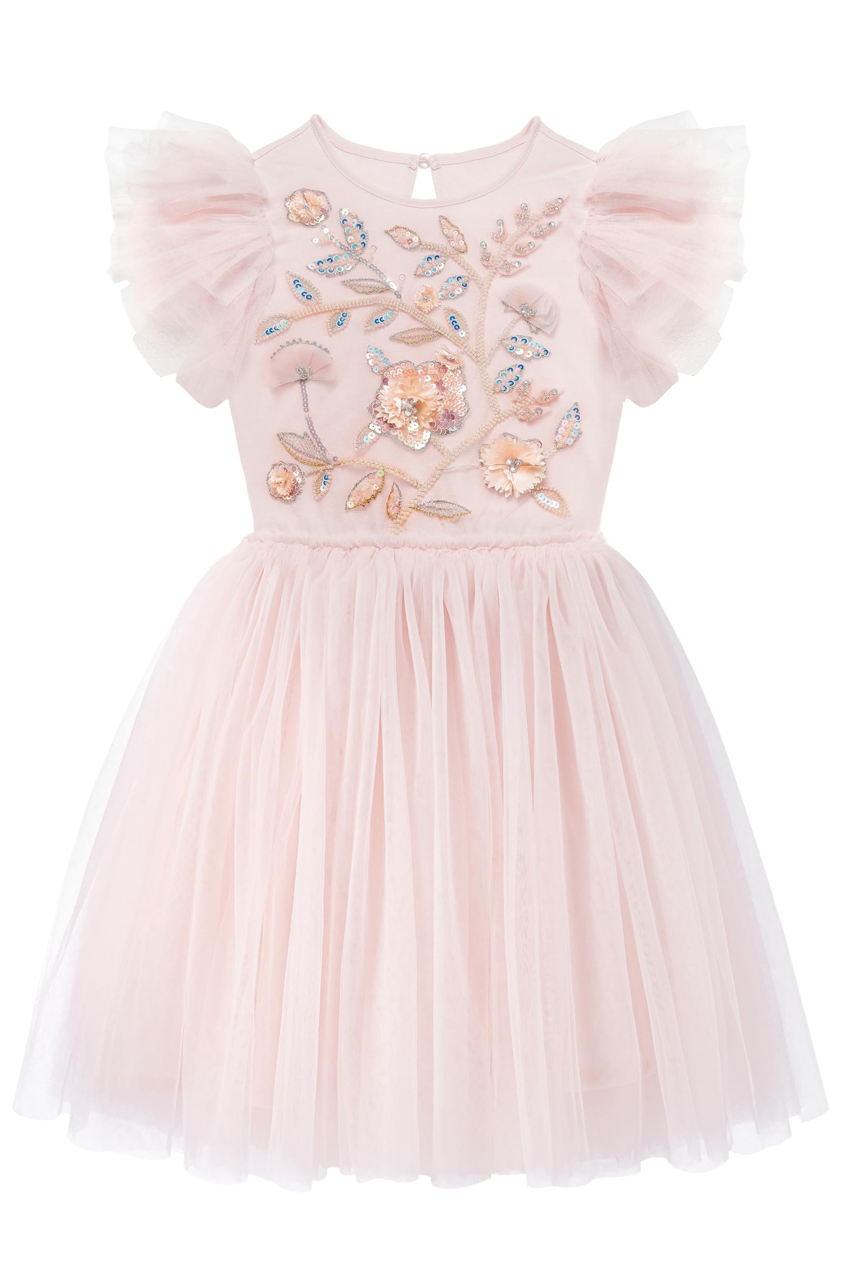 Tutuland Tutu Dress For Girls - Embroidered Tulle Dress Tiered Layered – Cutebab WBBAPB0CCDN37SG