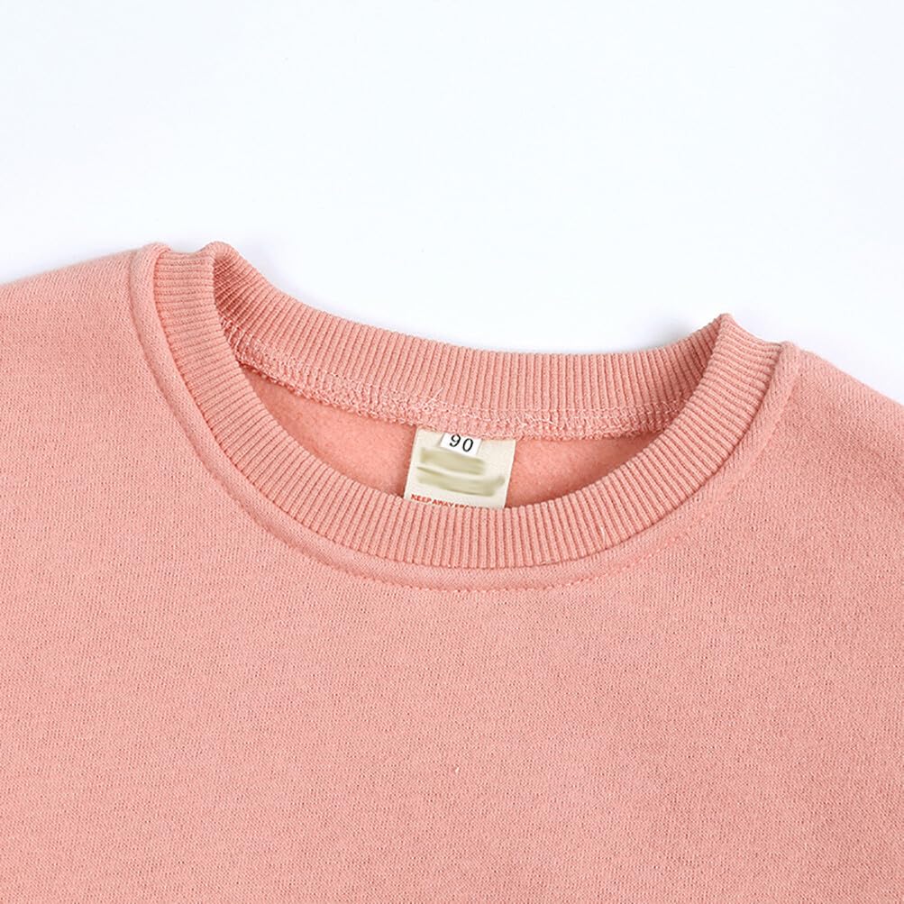 Rukosu Toddler Baby Boy Girl Fleece Pullover Sweatshirt Solid Color Crewneck Blouse Shirt Tops Warm Fall Winter Clothes Pink 9-1