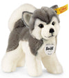 Steiff Bernie Husky Plush, Grey/White