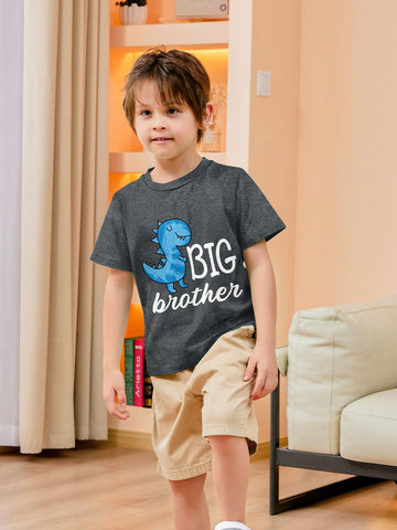 Funnycokid Big Brother Shirt 5T 4T Dinosaur For Toddler Boys Promoted To Big Brother Grey Size 5 Pregnancy Announcement Gifts Fo