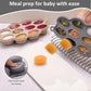 Btrfe Silicone Baby Food Freezer Tray 2Pack Perfect Food Storage Containers For Homemade Baby Food, Fruit Purees, Breastmilk, Ve