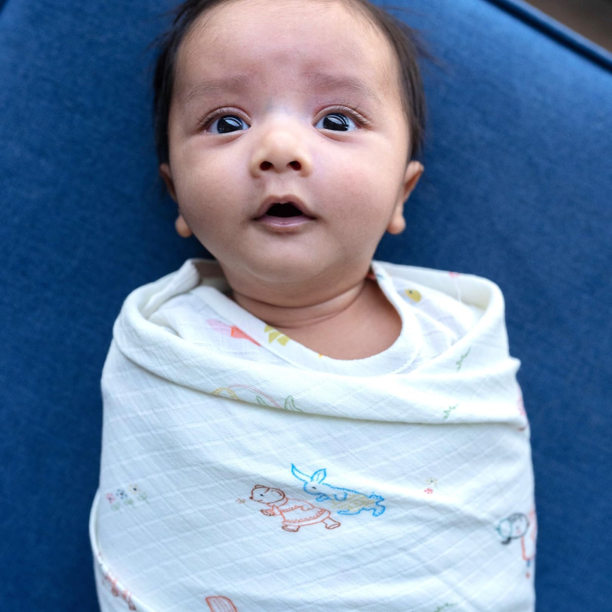 DULAAR Organic Muslin Swaddle (Storybook Walk)