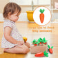 Montessori Toys for 1 Year Old, Carrots Harvest Wooden Baby Toys for 6-12 Months Educational Shape Sorting Matching Toys for Tod