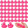 Vertintong 50 Pcs Mini Flamingo Rubber Duck Bulk Pink Flamingos Bath Toys Floating Squeaky Toy Cute Rubber Duckies for Baby Show
