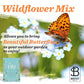 Bentley Seed Co. Oh Baby Seed Packets | 25 Non-Gmo Pre-Filled Wildflower Seed Packets | Baby Shower Favors For Boys Or Girls | W