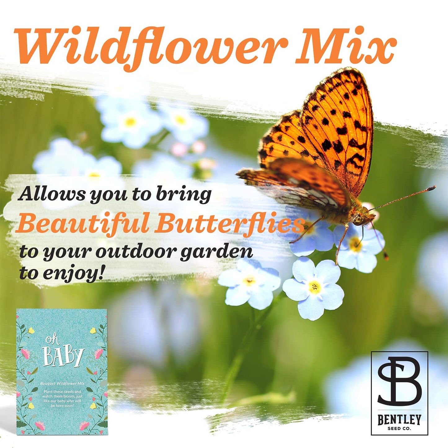 Bentley Seed Co. Oh Baby Seed Packets | 25 Non-Gmo Pre-Filled Wildflower Seed Packets | Baby Shower Favors For Boys Or Girls | W