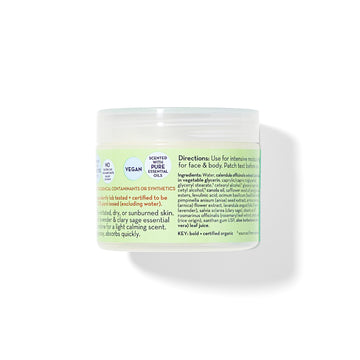 California Baby Aloe & Arnica Cream | Soothing Sunburn Relief Cream | Moisturizes Dry, Irritated Skin | 100% Plant-Based After S