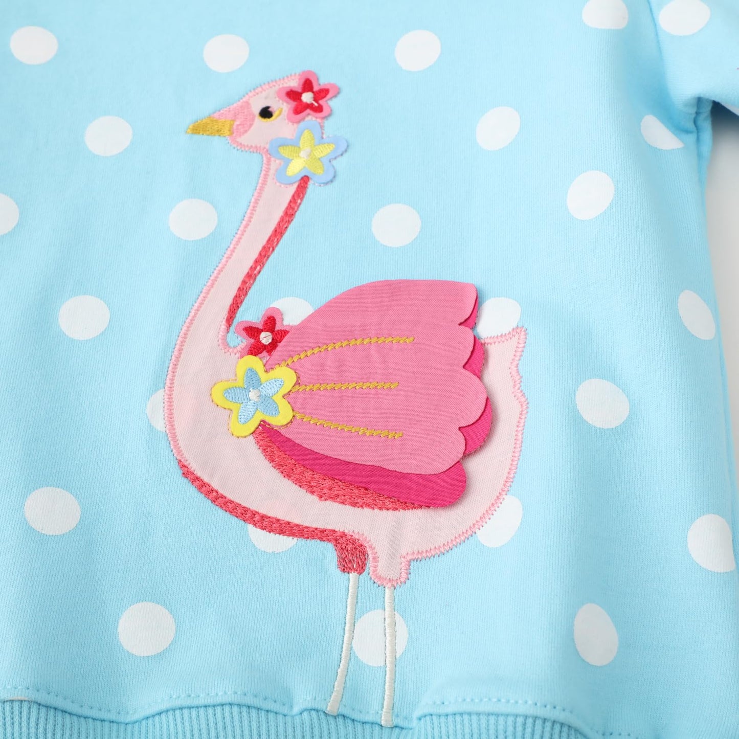 Akyzic Little Girl Sweatshirt Flamingo Long Sleeve Crewneck Blue Shirts Children Winter Outfits Cute Tops Kids Polka Dot Sweater