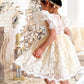 2Bunnies Girl Paisley Lace Back A-Line Tutu Tulle Party Flower Girl Dress (All Lace Flutter Sleeve Knee-Ivory, 3T)