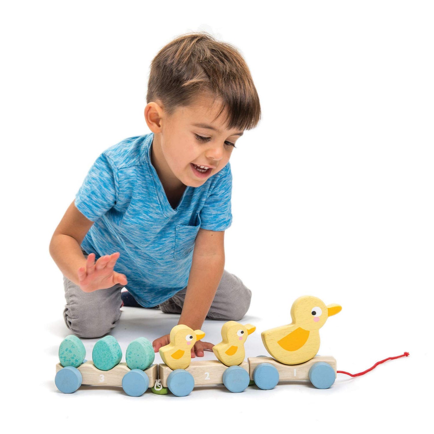 Tender Leaf Toys - Pull Along Ducks - Classic Wooden Pull Along Toy - 9pc Duck Family Set with 1 Mother Duck, 2 Baby Ducks, 3 Eg