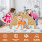 Beright 3 In1 Climbing Arch Sensory Table For Kids, Montessori Climbing Gym, Rocker Board Wooden Toy With Collapsible Storage Bi