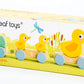 Tender Leaf Toys - Pull Along Ducks - Classic Wooden Pull Along Toy - 9pc Duck Family Set with 1 Mother Duck, 2 Baby Ducks, 3 Eg
