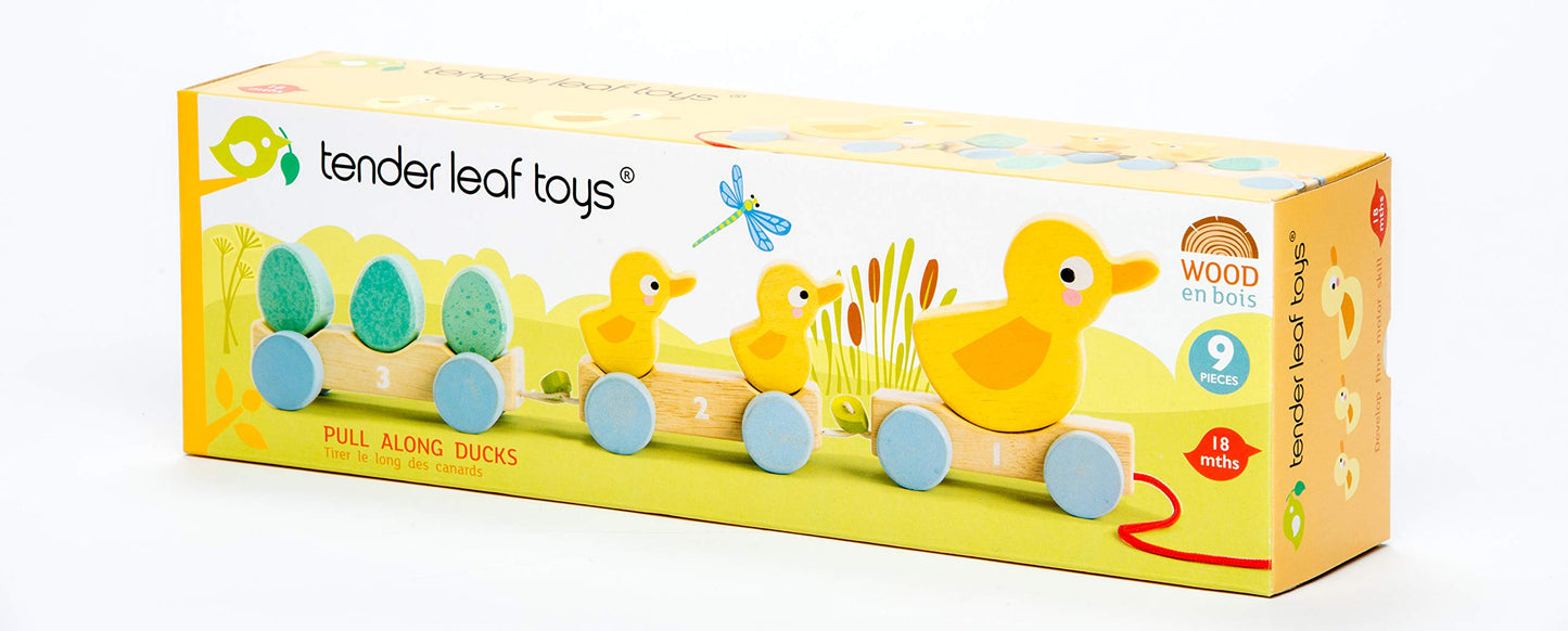 Tender Leaf Toys - Pull Along Ducks - Classic Wooden Pull Along Toy - 9pc Duck Family Set with 1 Mother Duck, 2 Baby Ducks, 3 Eg