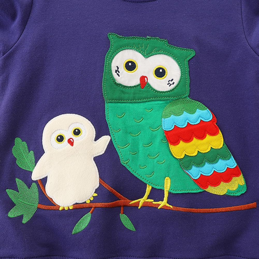 Girls Owl Sweatshirt Long Sleeve Crewneck Animal Shirt Toddler Fall Winter Outfits Kids Cotton Blue Sweaters Tops 7T