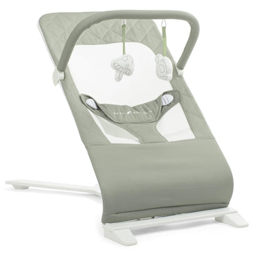 Baby Delight Alpine Deluxe Portable Baby Bouncer | Infant | 0-6 Months | 100% GOTS Certified Organic Cotton Fabric | Organic Sag