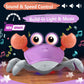 Purple Crawling Crab Baby Toy - Violet Tummy Time Crab Infant Walking Crab Dancing Moving Crawl Crab with Music & Light Cute Int