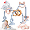 Baby Teething Relief Sensory Toys - Silicone Teether Tactile Developmental Toys for Babies, High Chair Suction Cup Toys, Montess