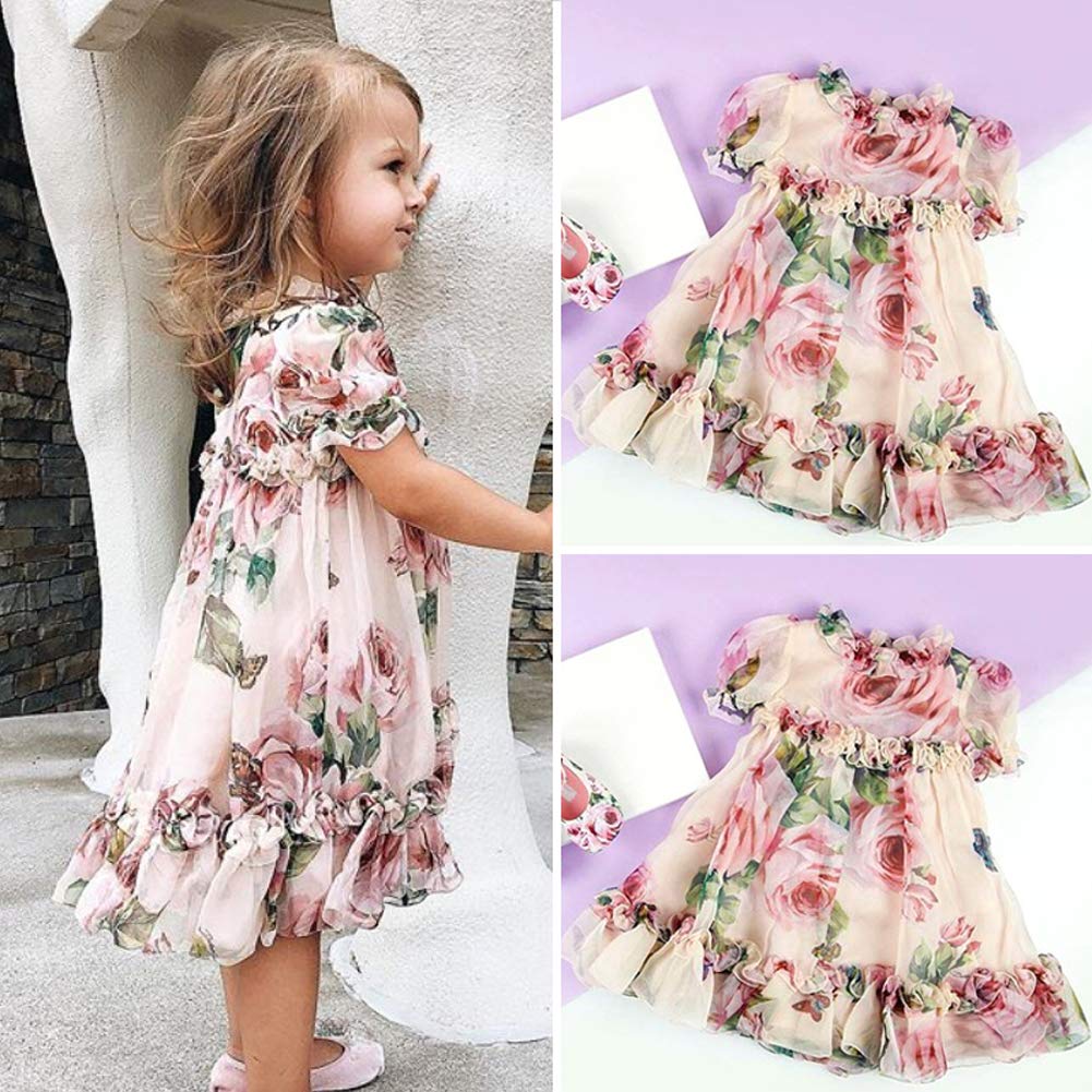 Toddler Baby Girls Flower Print Ruffles Princess Dress Sundress Clothes Outfit (2-3 T, Pink)