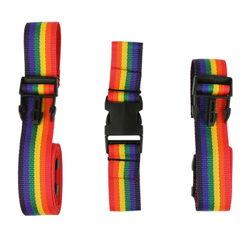Skillbuilders 3 Piece Replacement Harness Set For Medium Full Support Swing, Rainbow Strap Accessories