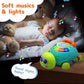 VoMii Musical Turtle Baby Toys 6 to 12 Months, Infant Crawling Tummy Time Development Toys, Light up Music Toys for 7 8 9 10 11