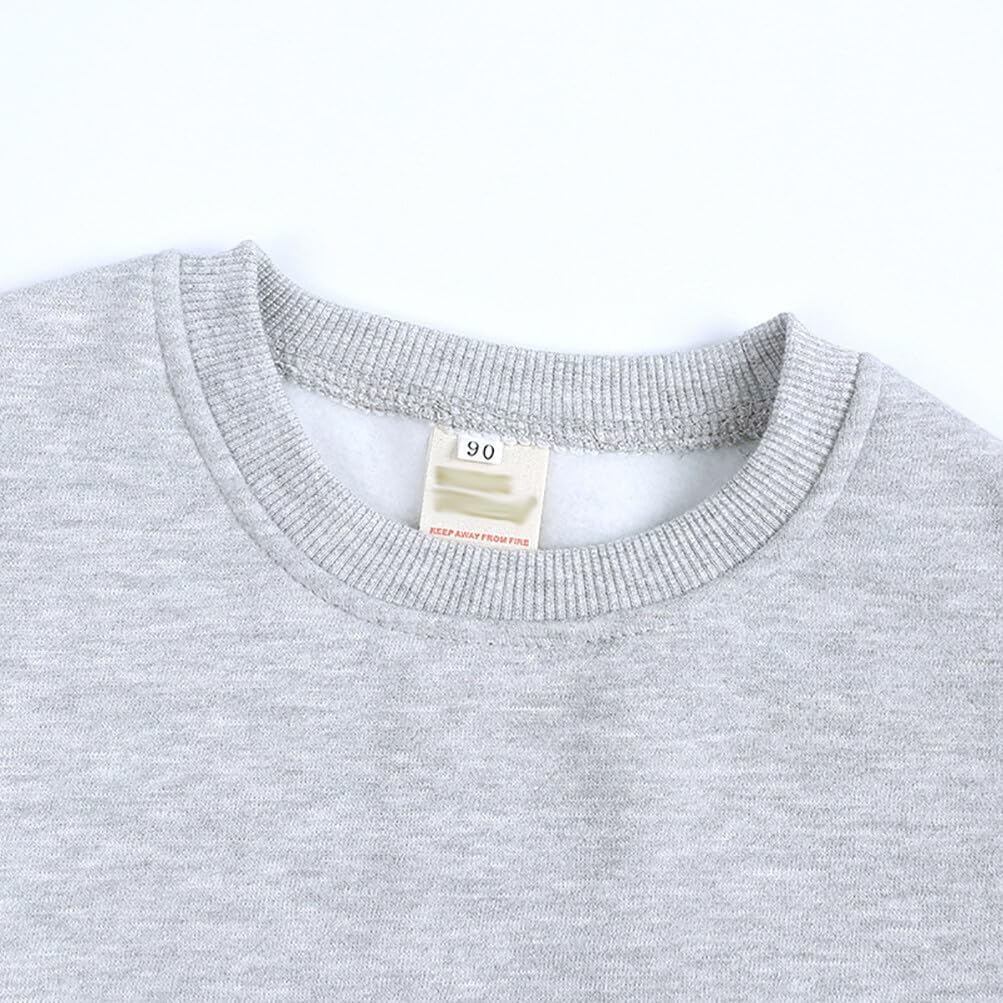 Rukosu Toddler Baby Boy Girl Fleece Pullover Sweatshirt Solid Color Crewneck Blouse Shirt Tops Warm Fall Winter Clothes Grey 3-4