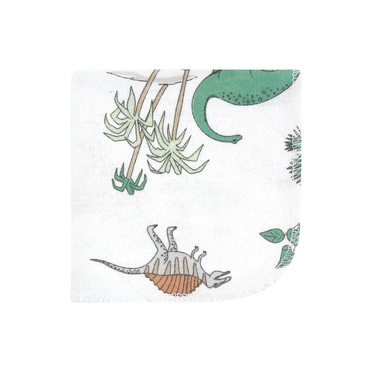 Hudson Baby Unisex Baby Flannel Washcloths, Boy Dino World 12Pk, One Size