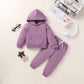 Happy Town Toddler Fall Outfits For Girl Boy Long Sleeve Hoodie Top And Long Sweatpants Set Toddler Sweatsuit (Solid Color-Fragr