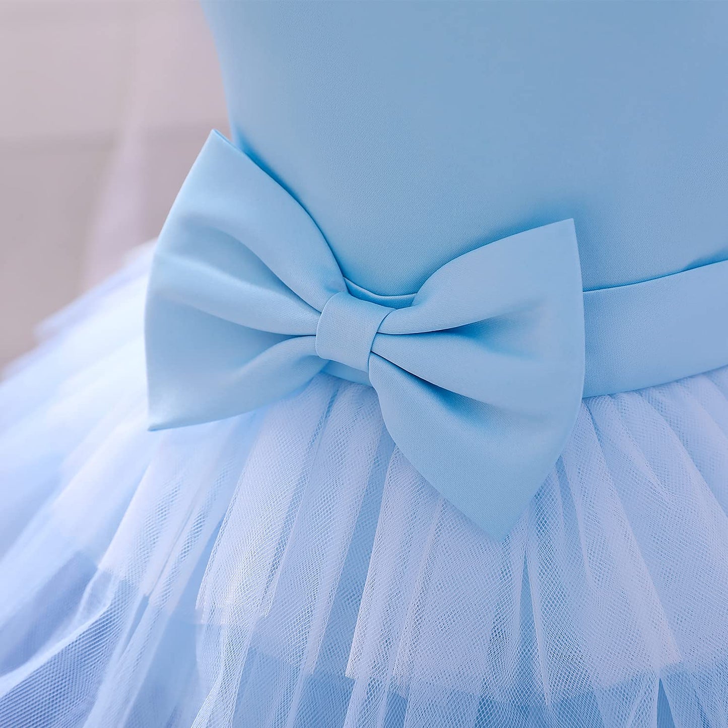 Flower Baby Girl Lace Dress Toddler Tulle Sleeveless Bow Princess Party Wedding Pageant Bridesmaid (Blue.12-24 Months)