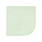 Hudson Baby Unisex Baby Flannel Washcloths, Dinosaur Adventures 12Pk, One Size