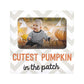 Kate & Milo Cutest Pumpkin in The Patch, Baby Photo Frame Keepsake, Babys First Halloween, Baby Fall Decor, Halloween D  cor Ac
