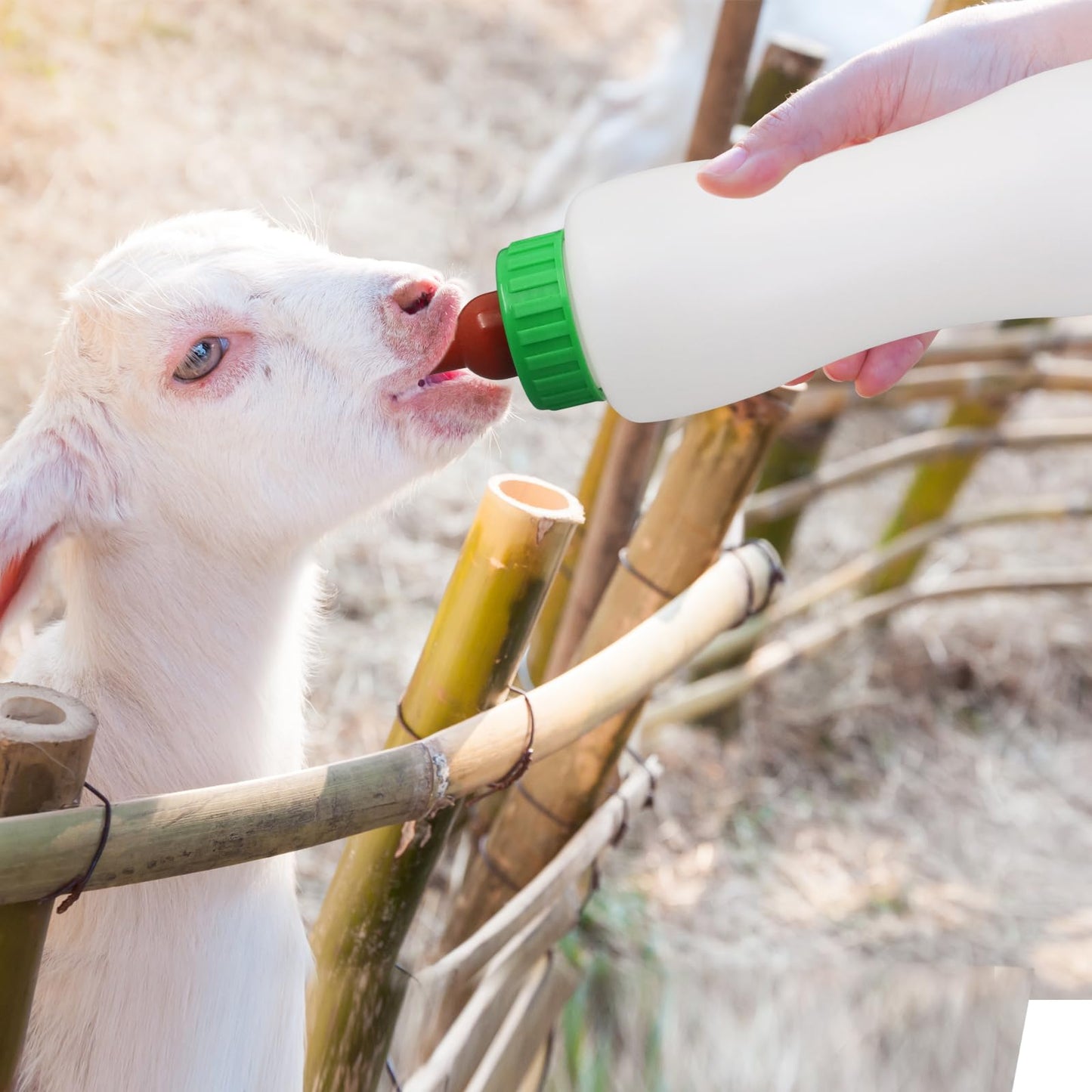 Lamb&Goat Feeding Bottle,500Ml Lamb Nipple And Bottle Set,Reusable Nursing Bottle Kit With Rubber Nipple,Small Animal Care Milk