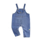 Ledy Champswiin Infant Boy Girl Jean Overalls Baby Jean Clothes Suspender Romper Jumpsuit Bib Pants Denim Outfit (Blue Jean Over