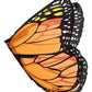 Dreamy Dress-Ups Orange Monarch Butterfly Wings