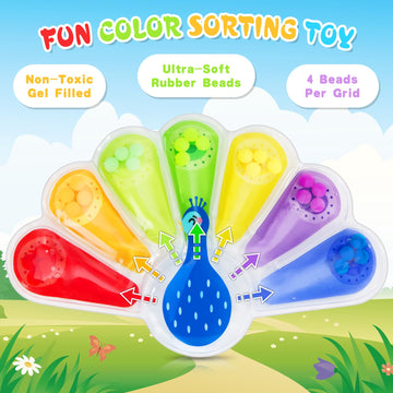 Color Sorting Toys Sensory Toys : Fine Motor Skill Games Learning Toys for Toddlers, Color Matching Fidget Sensory Toys for Calm