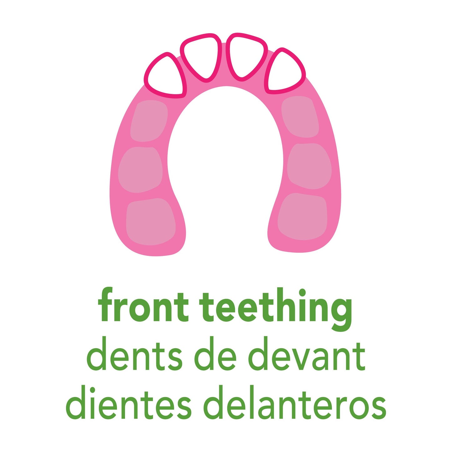 green sprouts Cooling Teether| Soothes gums & promotes healthy oral development |Safer plastic filled with sterilized water,Chil