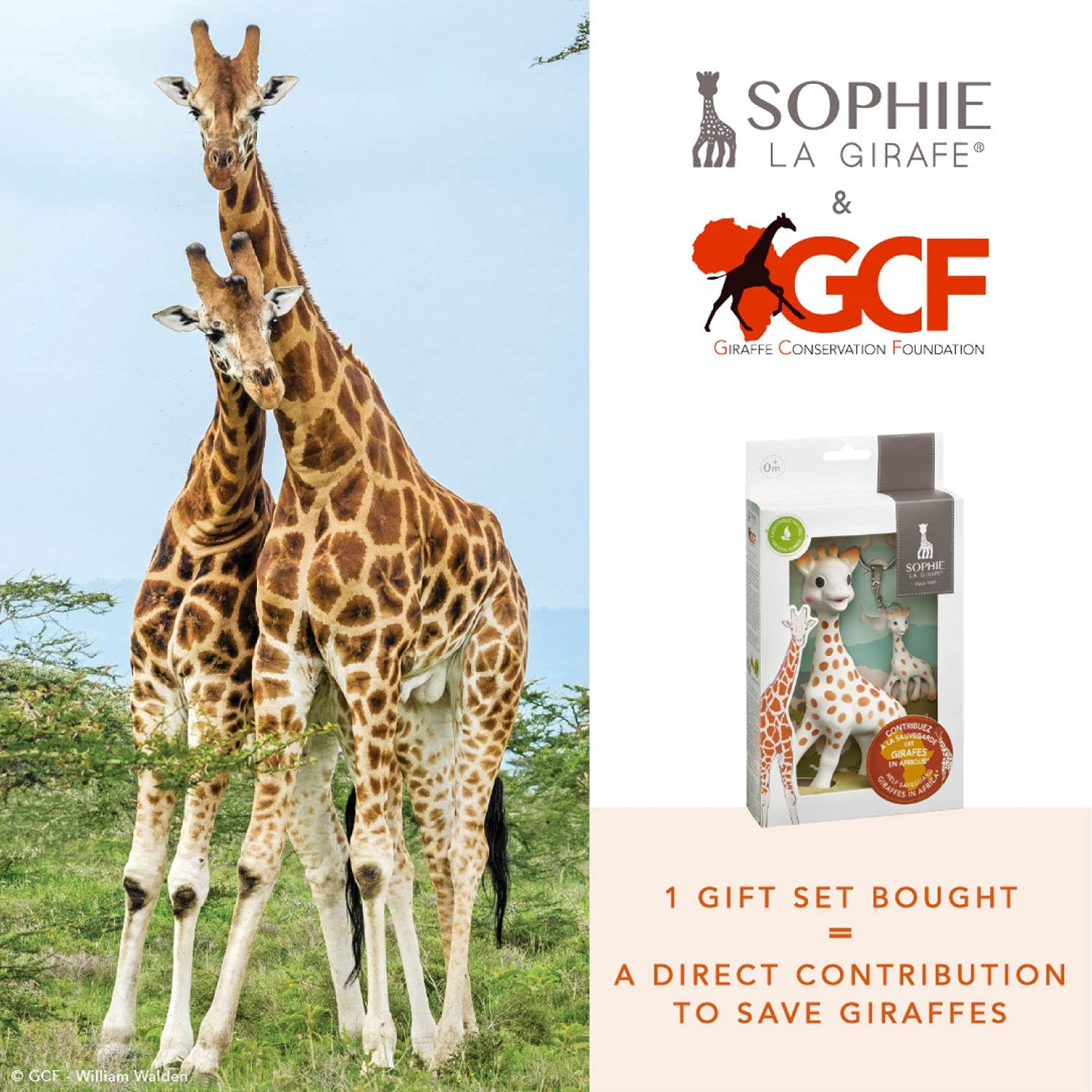 Sophie la girafe | Giraffe Conservation Foundation Set | Includes a Mini Keychain | Natural Rubber | Designed for Teething Babie