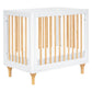 Babyletto Lolly 4-in-1 Convertible Mini Crib and Twin Bed with Toddler Bed Conversion Kit in White and Natural, Greenguard Gold 