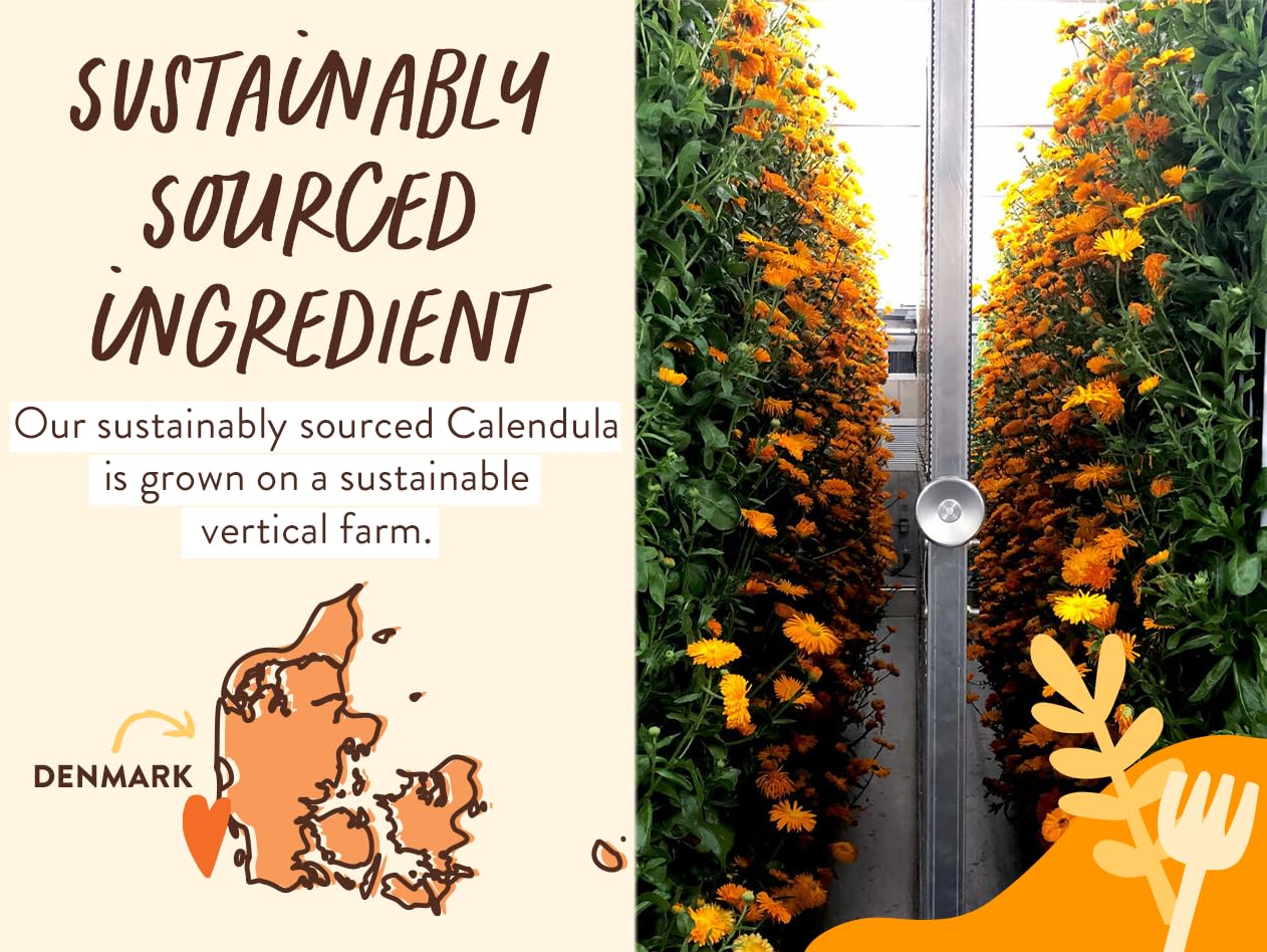 Babo Botanicals Moisturizing Oat & Calendula 2-In-1 Shampoo & Wash - For Dry Or Sensitive Skin - For All Ages - Lightly Scented