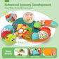 Hahaland Upgraded Tummy Time Toys - 4 In 1 Tummy Time Pillow & Baby Sitting Support For Newborn Infant Baby 0-3 Months Early Dev