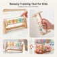 IEATFO Rain Stick Toy with Stand - Sensory Sound Training Tool for Kids, Tummy Time Musical Instrument for Infant Development |