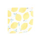 Hudson Baby Unisex Baby Flannel Cotton Washcloths, Lemon Daisy 10 Pack, One Size