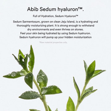 [Abib] Sedum Hyaluron Pad Hydrating Touch (75 Pads)
