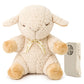 Cloud b Sound Machine with White Noise Soothing Sounds | Cuddly Stuffed Animal | Adjustable Settings and Auto-Shutoff | Sleep Sh