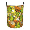 Pevtufa Tropical Summer Fruit Foldable Laundry Basket Organizer,Fabric Clothes Toy Storage Basket Nursery Hamper Storage Bin For