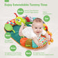 Hahaland Upgraded Tummy Time Toys - 4 In 1 Tummy Time Pillow & Baby Sitting Support For Newborn Infant Baby 0-3 Months Early Dev