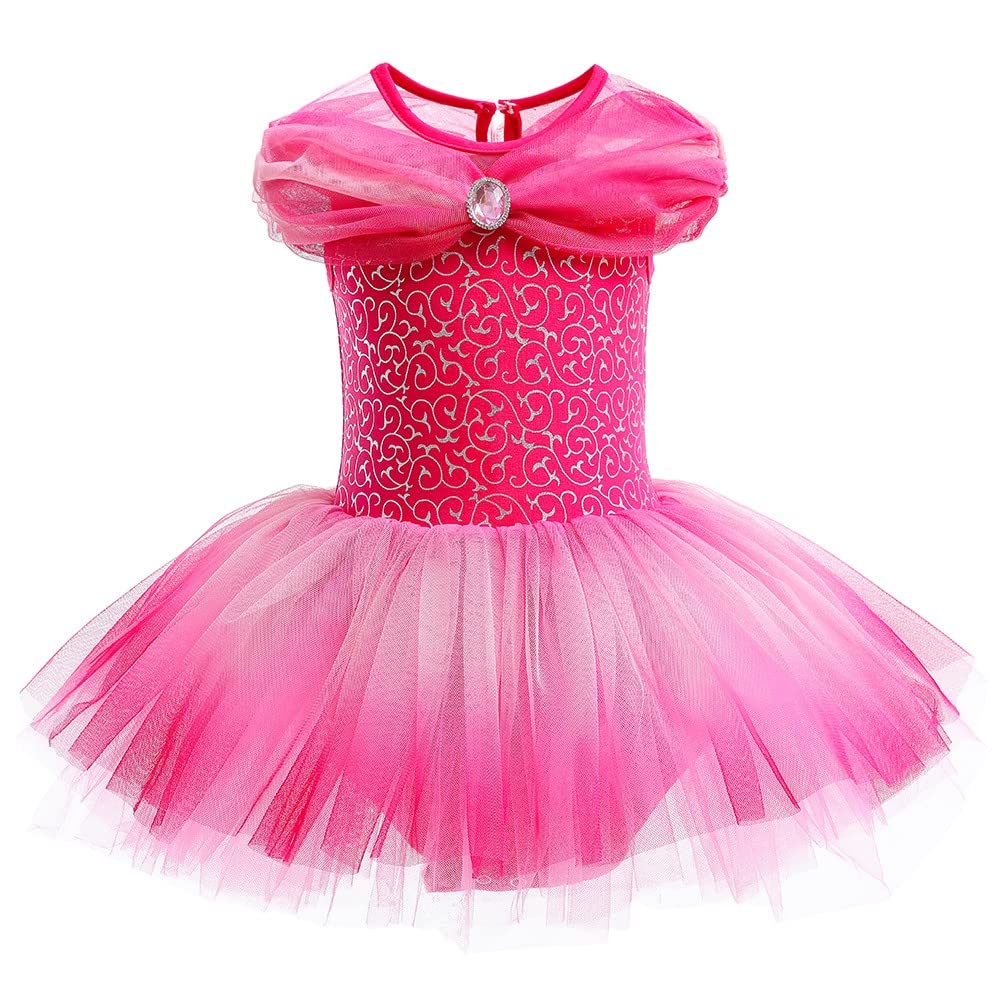 DYMCII Baby Girls Aurora Princess Ballet Dress Short Sleeve Leotards Skirted Tutu Halloween Christmas Party Fancy Costume