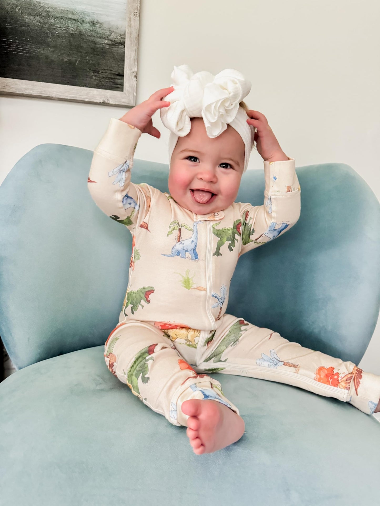 Owlivia Organic Cotton Baby Boy Girl Zip Up Sleep N Play, Footless, Long Sleeve(12-18 Months, Watercolor Dinosaur)